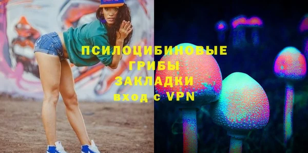 молекула духа Алексин