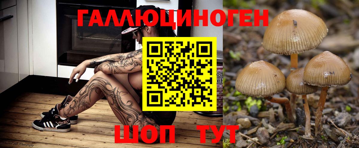 Псилоцибиновые грибы мицелий Елабуга