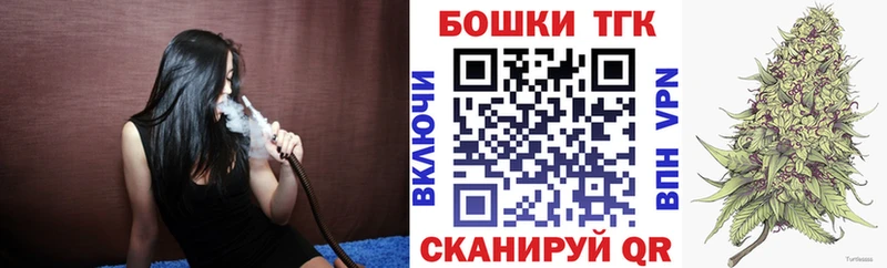 Бошки Шишки план  Елабуга 